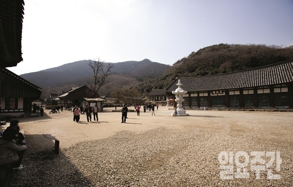 선운사 (사진=이재윤 기자)