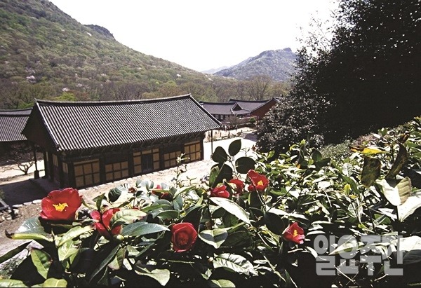 (사진=이재윤 기자)