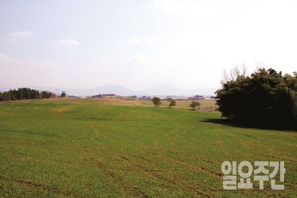 학원농장 (사진=이재윤 기자)